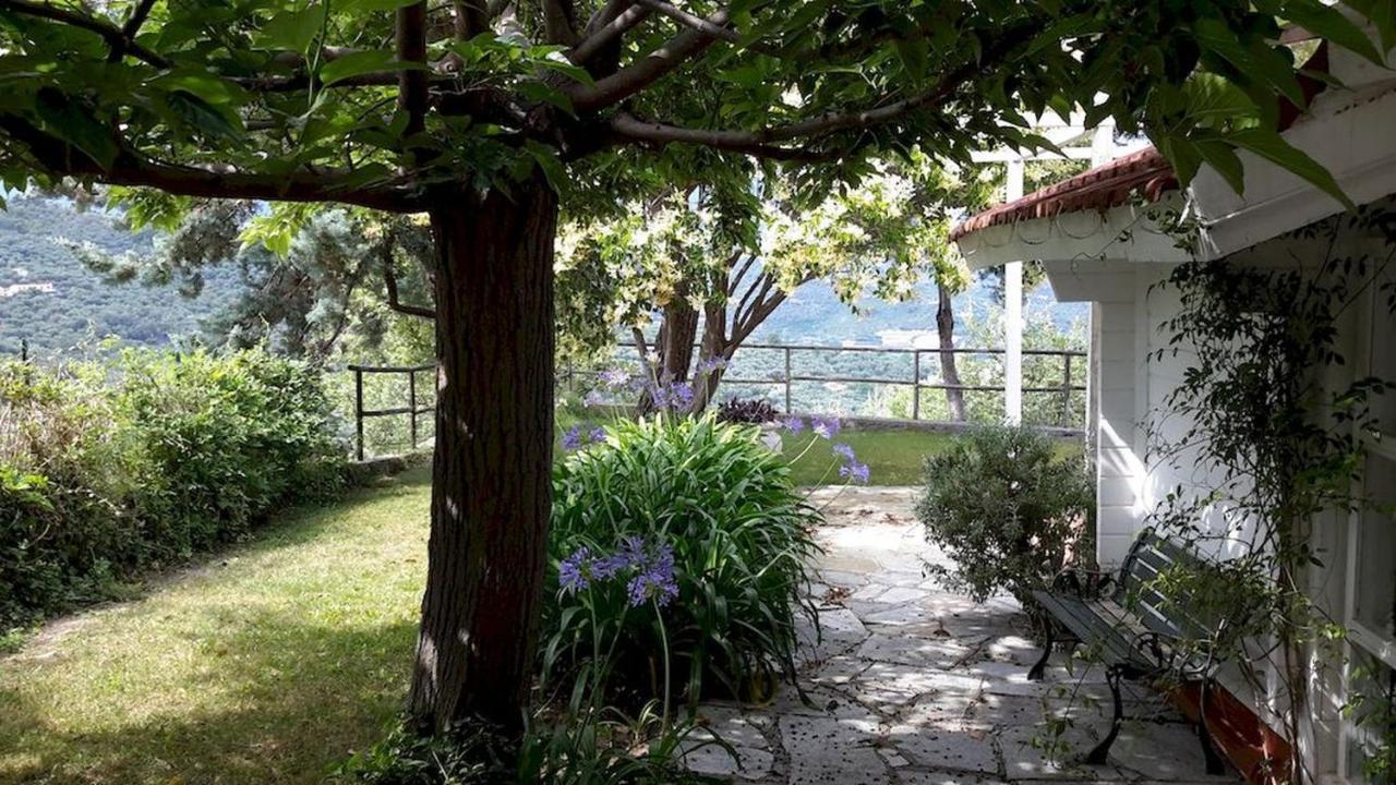 Deliziosa casetta con dehor e giardino immersa nel verde Ligure Imperia Esterno foto